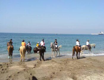 Hípico Pony Club Costa Tropical