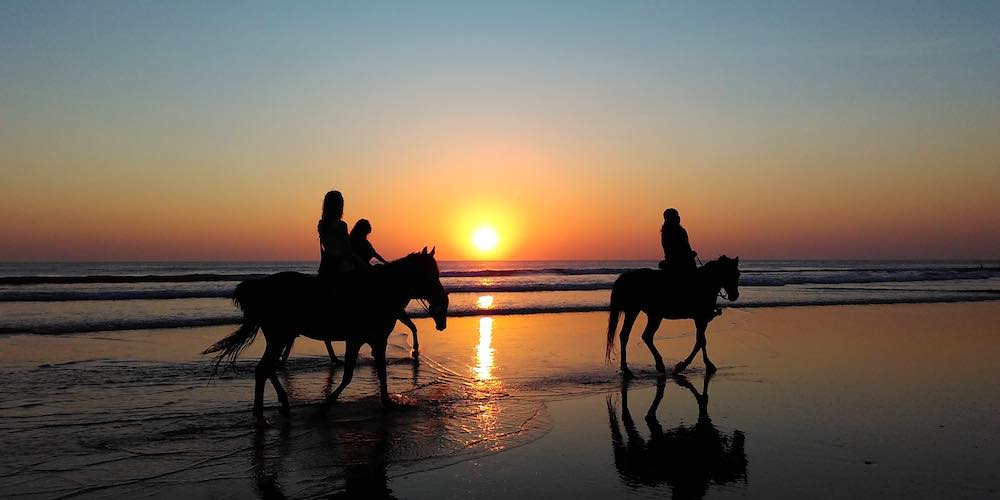 Horseback riding on the beach at sunset.