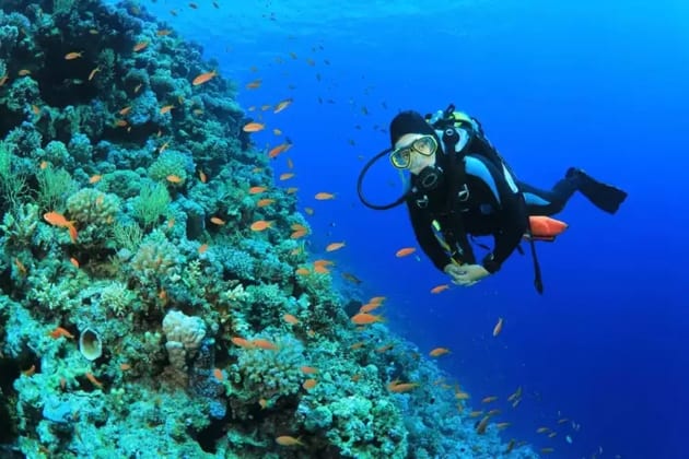 Scuba diving on the Costa Tropical