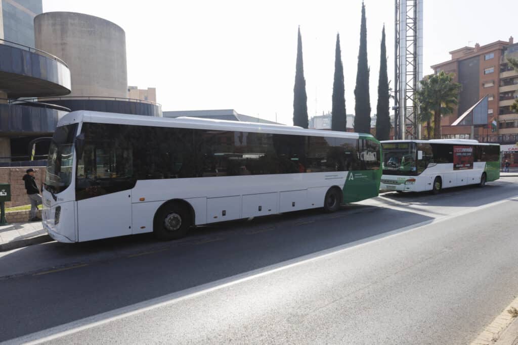 autobuses consorcio