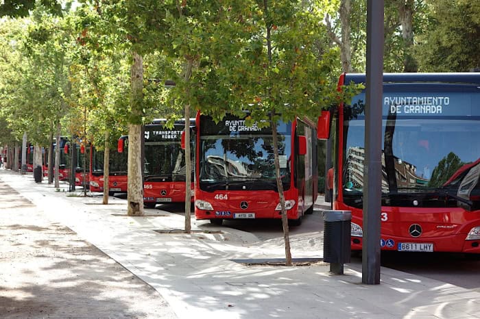 autobuses rober