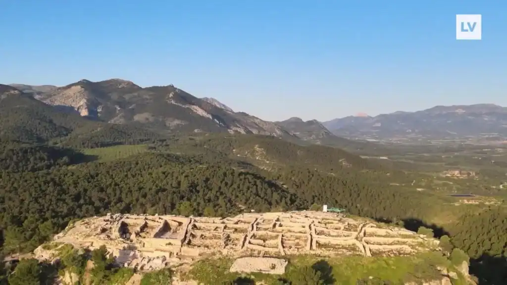 almoloya vista pajaro