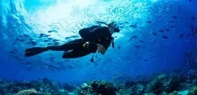 Home One 81 scuba ct