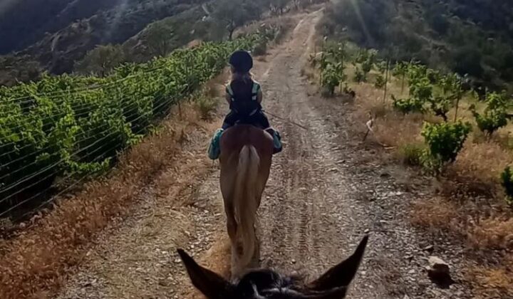 Rancho Everfree Horse riding6