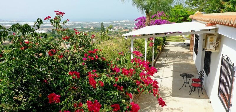 IMG 20250615 WA0013 1